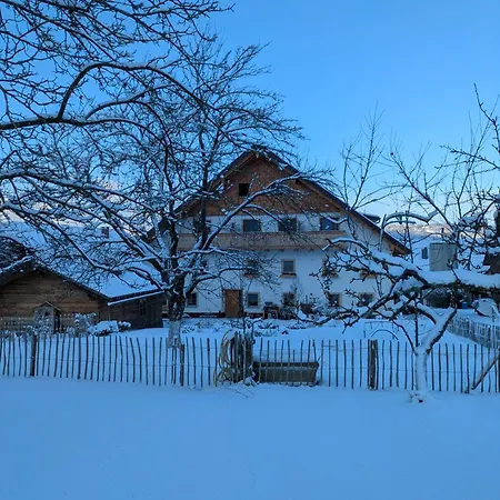 公寓 Bachbauer Am Attersee *